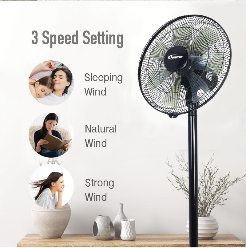 14" Stand Fan with Convertible Height – 7 Blades, 3 Speeds, Oscillation, Powerful Cooling, Energy-Efficient, PPFS212