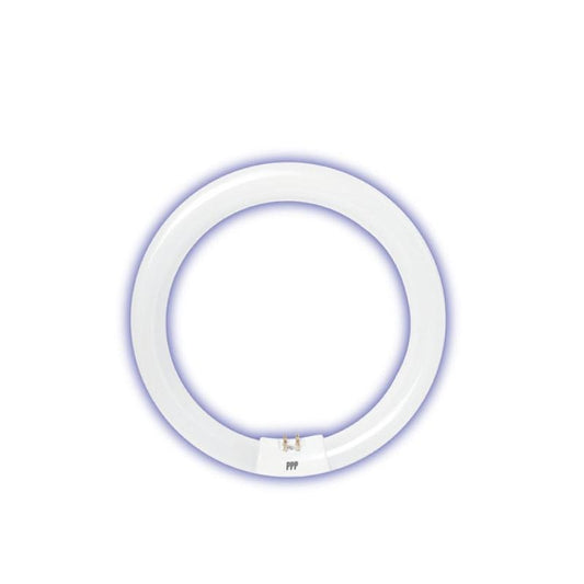 Circular Fluorescent Tube Extra Bright 40W (PP40EXD) - PowerPacSG