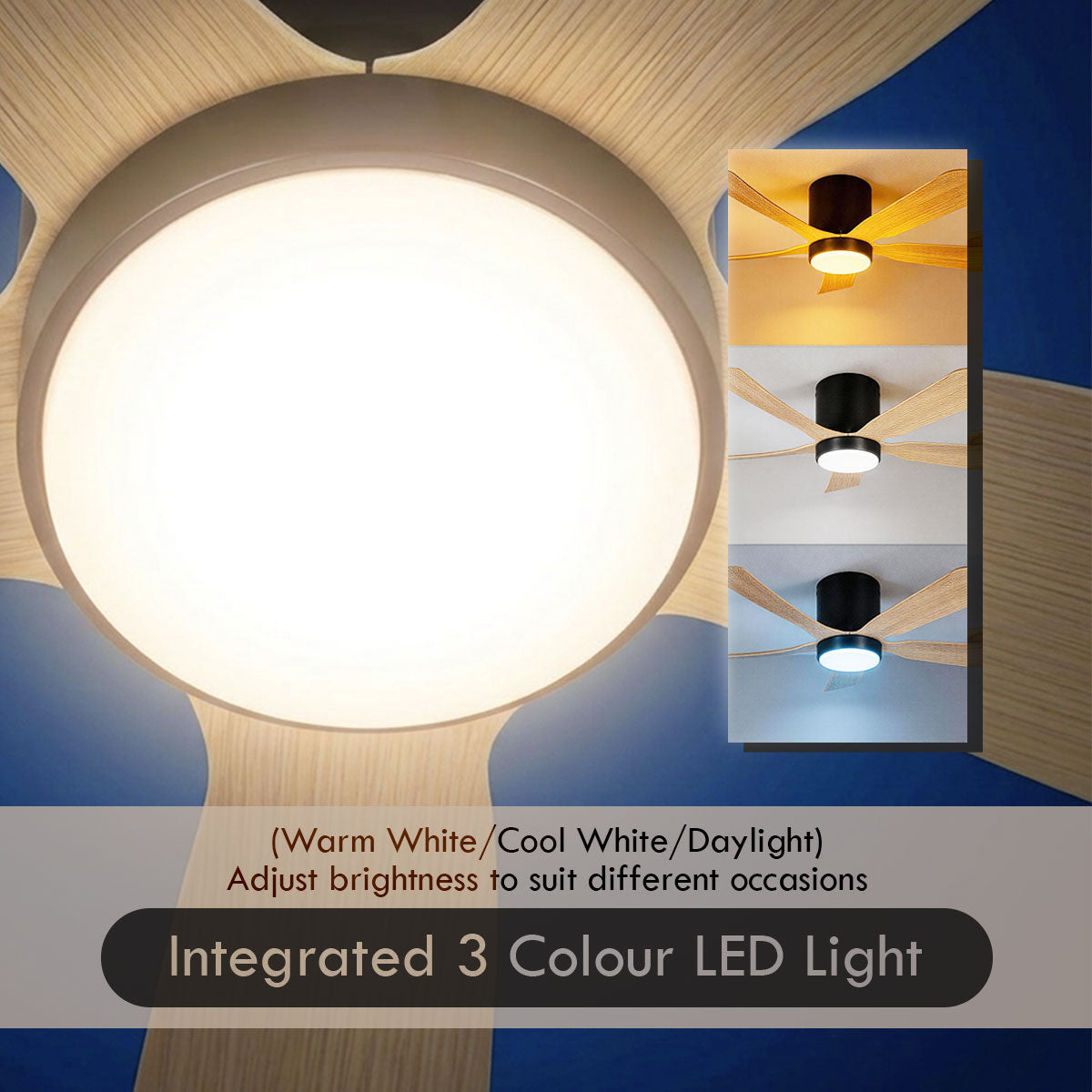 [CLIMATE VOUCHER $400] iFan 56in DC Motor Ceiling Fan | 5 Blades | Dimmable Lights | 6 Speed Selection (IF8556DGDW)