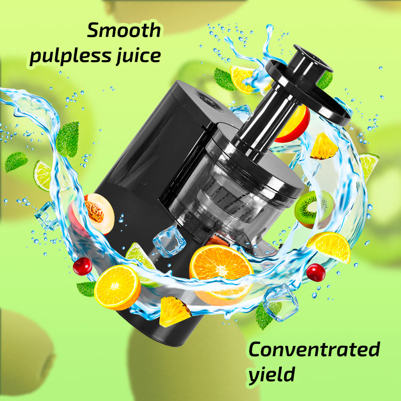 Juice Extractor, Slow Juicer, Cold Press Juicer (PP3407)