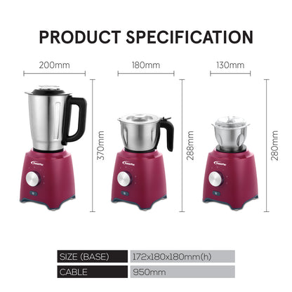 High Power Blender, 3 IN 1 Multi-functional Stainless Steel Blender with Dry Mill, Mincer Filter (PPBL906)