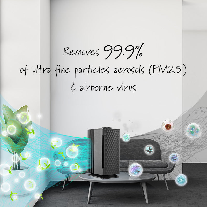Air purifier with HEPA filter (IF3255)