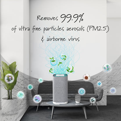 iFan Air purifier HEPA filter, Desk Top Air Purifier, Smart Air Purifier (IF3266)